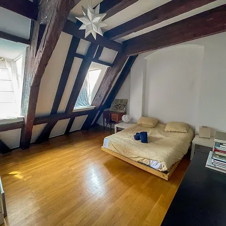 200m2 Triplex Proche Cathedrale Lägenhet Strasbourg