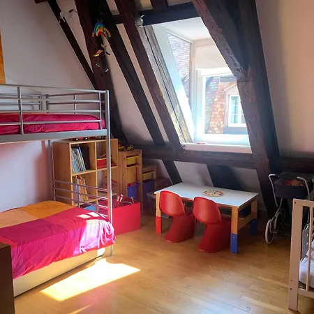 200m2 Triplex Proche Cathedrale Strasbourg