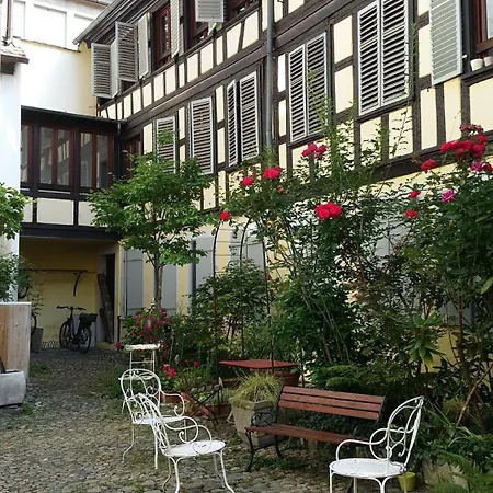 Apartment 200m2 Triplex Proche Cathedrale